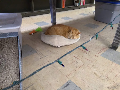 Used Book Store «Book Corner», reviews and photos