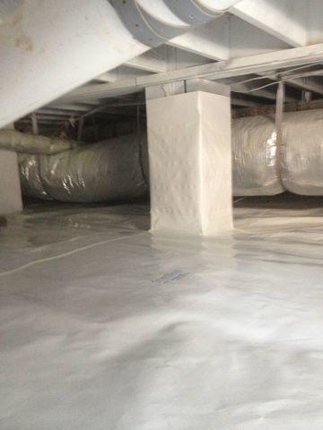 Waterproofing Company «Master Dry Foundation & Waterproofing Specialists», reviews and photos