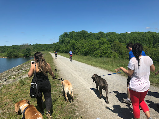 Water Sports Equipment Rental Service «Marsh Creek Water Sports», reviews and photos, 675 Park Rd, Downingtown, PA 19335, USA