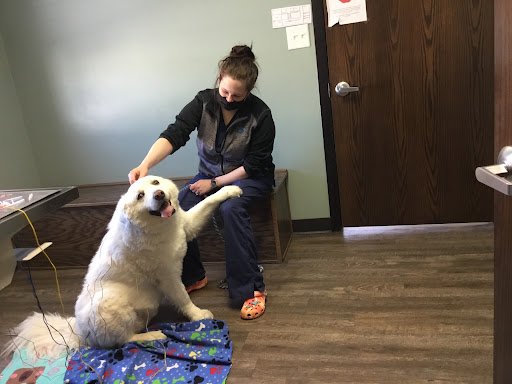Evendale-Blue Ash Pet Hospital