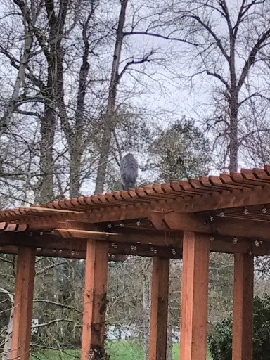 Recreation Center «Willamalane Adult Activity Center», reviews and photos, 215 W C St, Springfield, OR 97477, USA