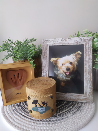 San Antonio Abad | El Patrón de las Mascotas en Madrid