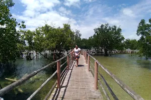 Suyac Island Mangrove Eco-Park image