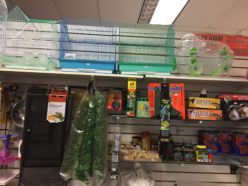 S &K Pet Shop Reptiles and Birds and supplies