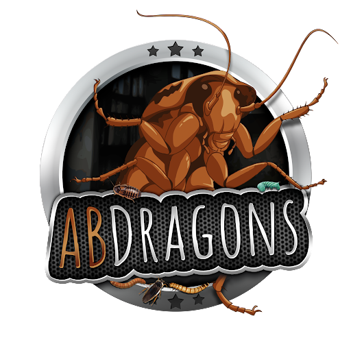 ABDragons