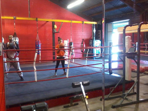 Boxing Gym «Tampa City Boxing Gym», reviews and photos, 4435 N Lauber Way, Tampa, FL 33614, USA