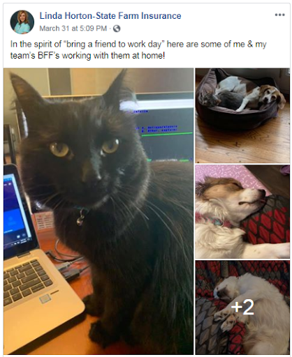 Insurance Agency «State Farm: Linda Horton», reviews and photos