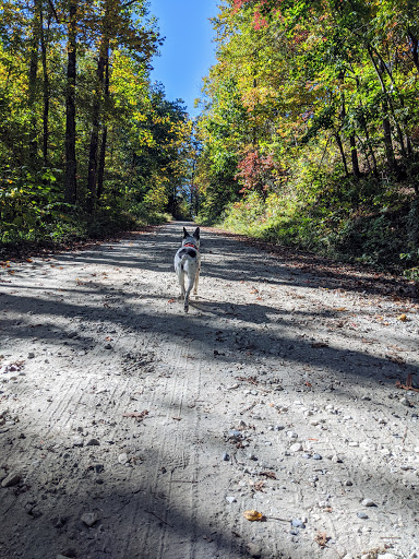 Museum «Camp Toccoa At Currahee», reviews and photos, 2351 Ayersville Rd, Toccoa, GA 30577, USA