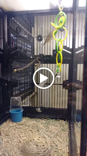 Pet Supply Store «PetSmart», reviews and photos, 2718 Legends Pkwy, Prattville, AL 36066, USA