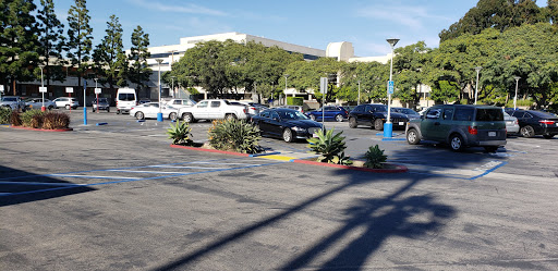 Department of Motor Vehicles «Santa Monica DMV», reviews and photos