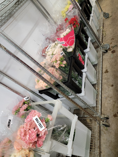 Florist «Botanica Wholesale Florist», reviews and photos, 3208 International Pl, Irving, TX 75062, USA