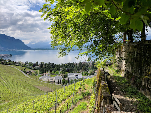 Château du Châtelard - Montreux à Montreux