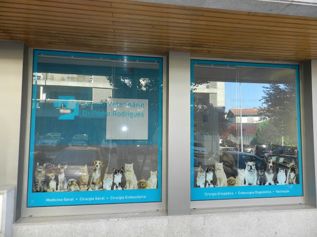 Centro Veterinario São João