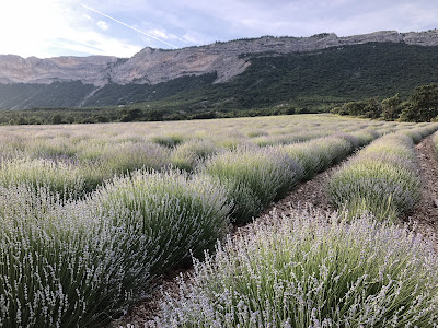 Jubi Arzeliers à Laragne-Montéglin