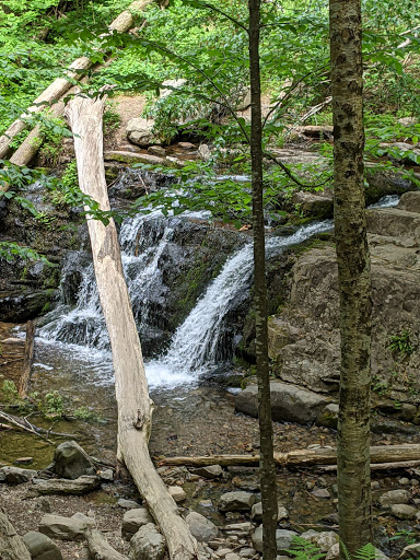 National Park «Delaware Water Gap National Recreation Area», reviews and photos, 1978 River Rd, Bushkill, PA 18324, USA