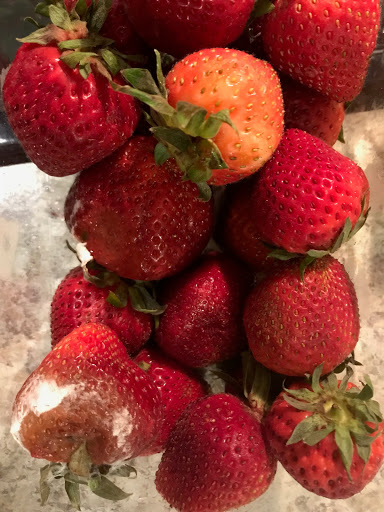 Supermarket «Weis Markets», reviews and photos, 45315 Alton Ln, California, MD 20619, USA