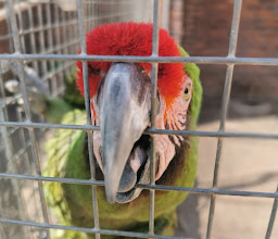 Polokwane Snake & Reptile Park photo