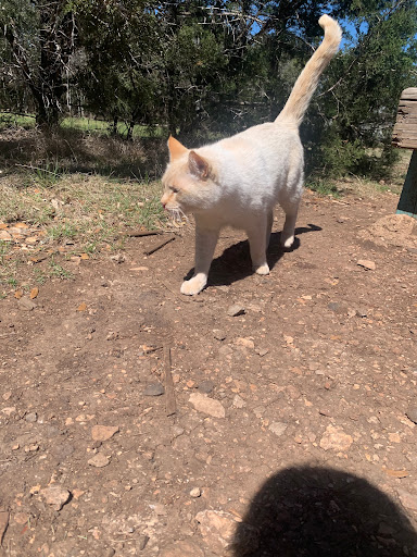 Golf Club «Flying Armadillo Disc Golf Club», reviews and photos, 3115 Hilliard Rd, San Marcos, TX 78666, USA