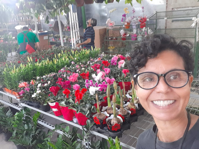 Comentários e avaliações sobre Viva o Verde Anchieta