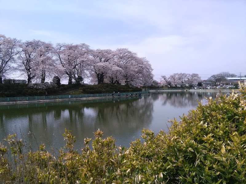 鹿の川沼公園