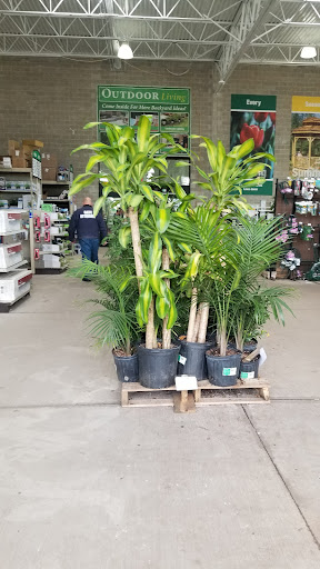 Home Improvement Store «Menards», reviews and photos, 6401 Grand Ave, Gurnee, IL 60031, USA