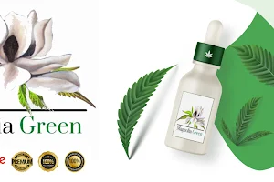 Magnolia Green image