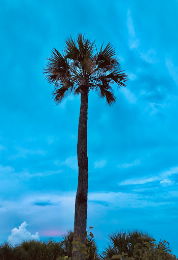Museum «Tybee Island Light Station And Museum», reviews and photos, 30 Meddin Dr, Tybee Island, GA 31328, USA