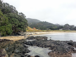 Waimahana Beach'in fotoğrafı geniş ile birlikte
