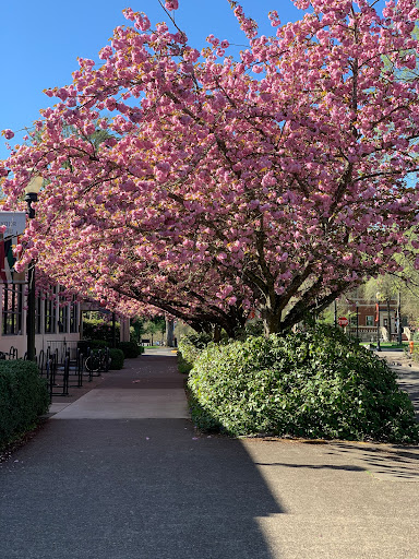 Student Union «Memorial Union», reviews and photos, 2501 SW Jefferson Way, Corvallis, OR 97331, USA