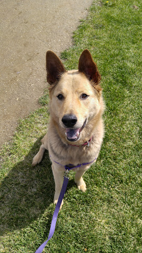 Park «Centennial Park», reviews and photos, 1200 N Last Chance Gulch, Helena, MT 59601, USA