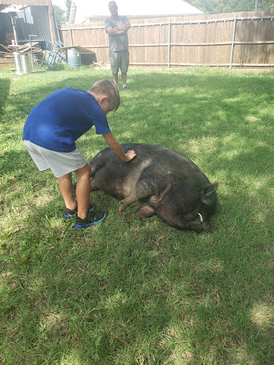 Produce Market «Fresh & Local Produce and Firewood», reviews and photos, 6573 N McDonald St, Melissa, TX 75454, USA