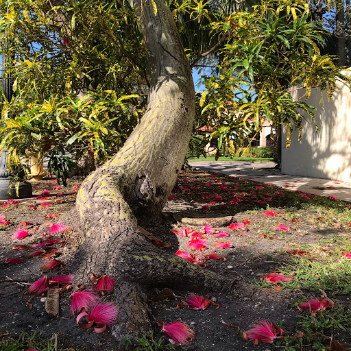 Park «Simpson Park», reviews and photos, 5 SW 17th Rd, Miami, FL 33129, USA