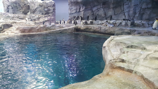 Zoo «Detroit Zoo», reviews and photos, 8450 W 10 Mile Rd, Royal Oak, MI 48067, USA