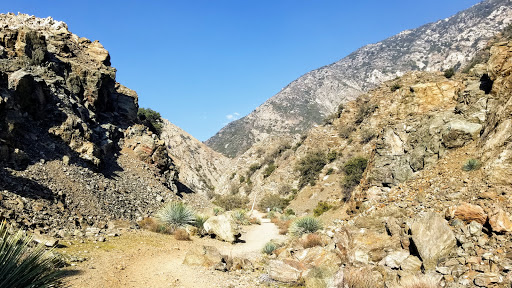 East Fork Day Use Parking Trailhead