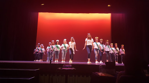 Performing arts group Santa Rosa