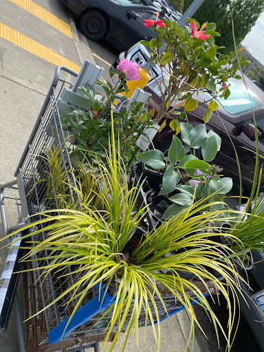 Department Store «Walmart Supercenter», reviews and photos, 762 Outlet Collection Way, Auburn, WA 98001, USA