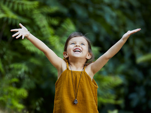 Del propietario