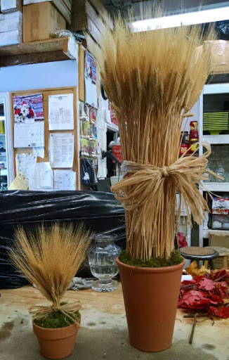 Florist «Edelweiss Flower Boutique», reviews and photos, 1722 Ocean Park Blvd, Santa Monica, CA 90405, USA