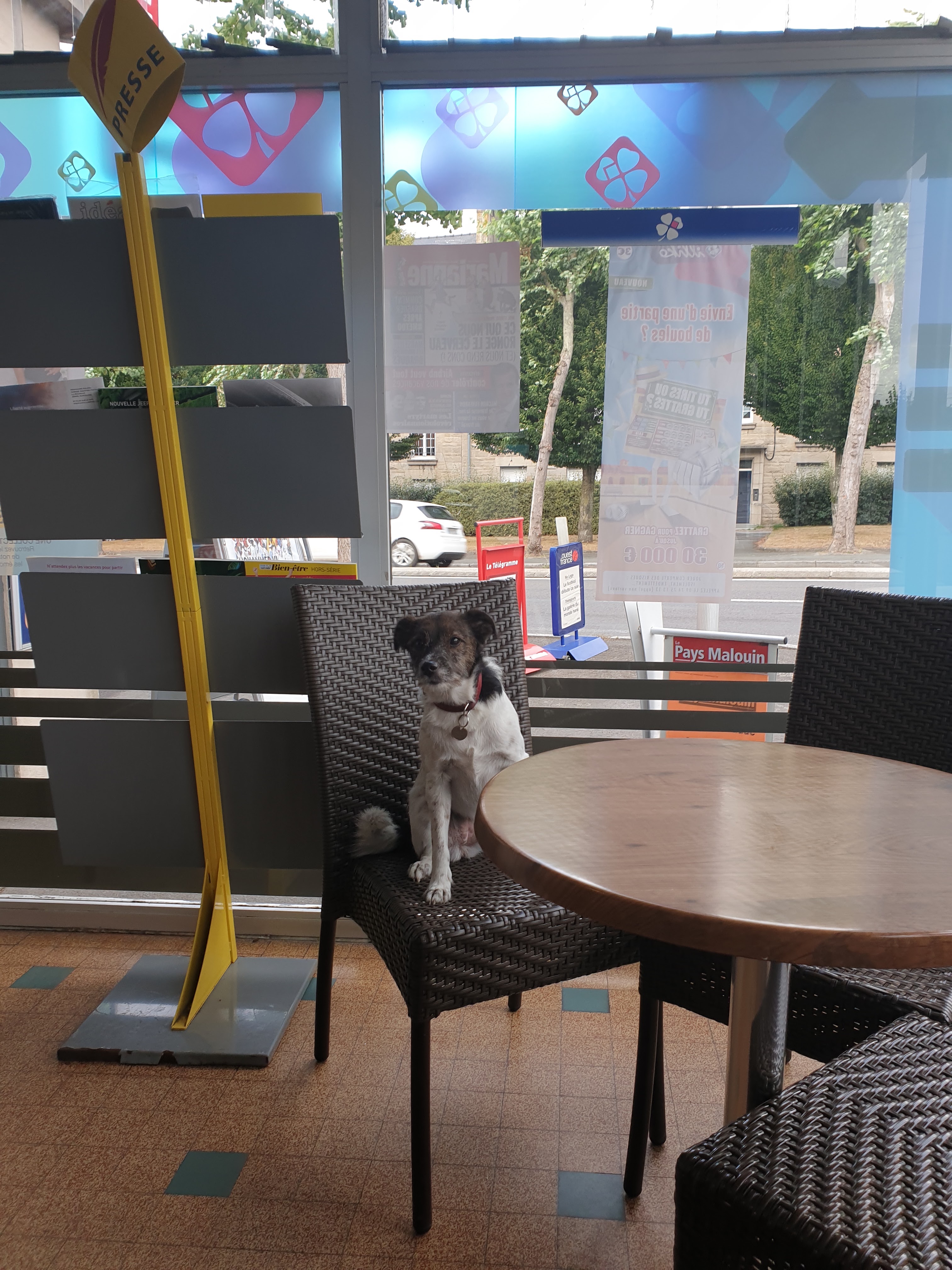 Photo n° 2 de l'avis de Hélène. fait le 09/08/2019 à 20:15