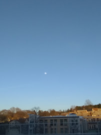 Psalms1:3 Cleaning Services