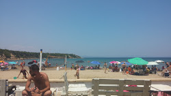 Avlaki beach'in fotoğrafı imkanlar alanı
