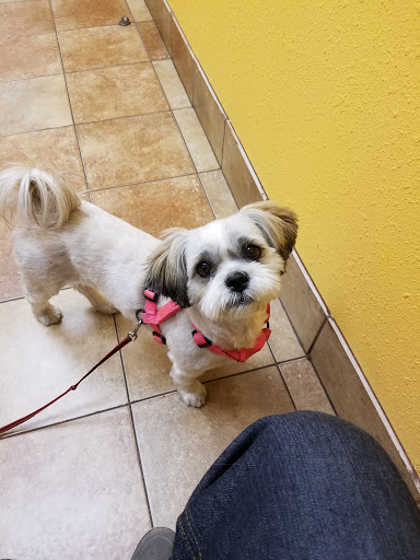 Pet Supply Store «PetSmart», reviews and photos, 278 New Britain Ave, Plainville, CT 06062, USA