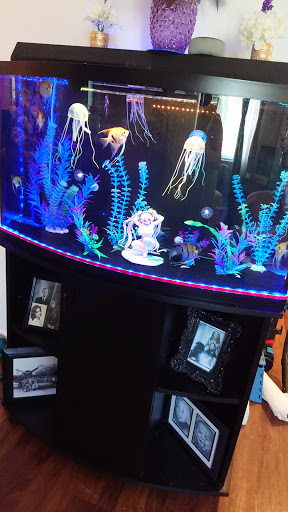 Pet Supply Store «PetSmart», reviews and photos, 2861 Veterans Memorial Pkwy, St Charles, MO 63303, USA