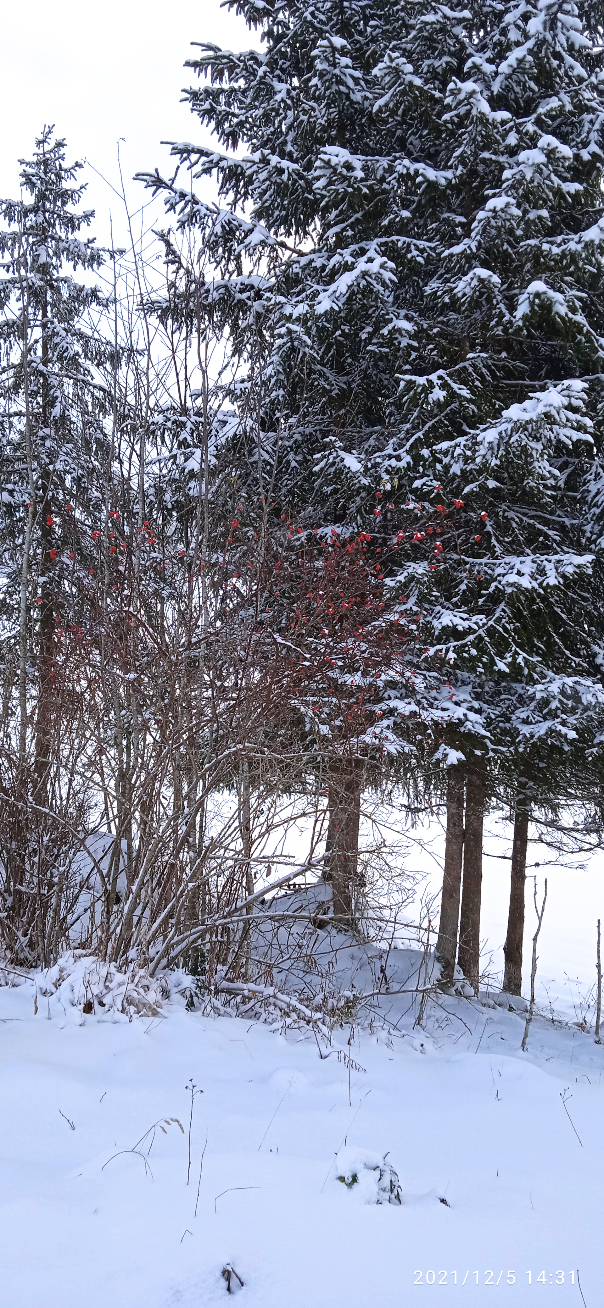 Photo n° 3 de l'avis de Laurence-Hélène.e fait le 13/12/2021 à 06:47