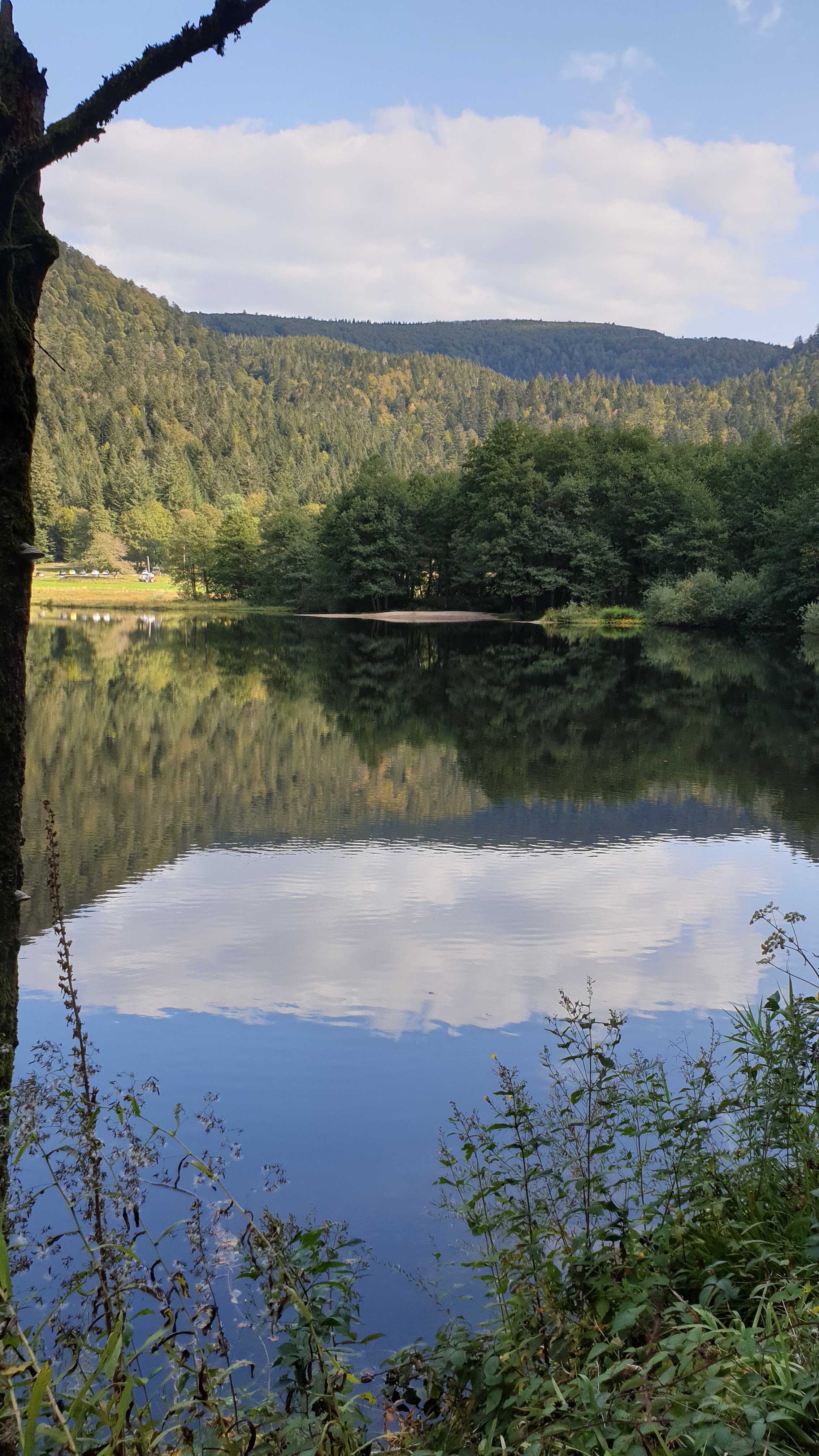 Photo n° 4 de l'avis de Géraldine.o fait le 15/09/2020 à 06:29