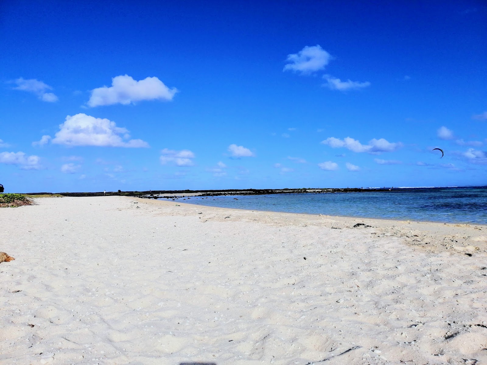 Φωτογραφία του Poste La Fayette Beach άγρια περιοχή