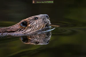 Beaver Run Lumber image
