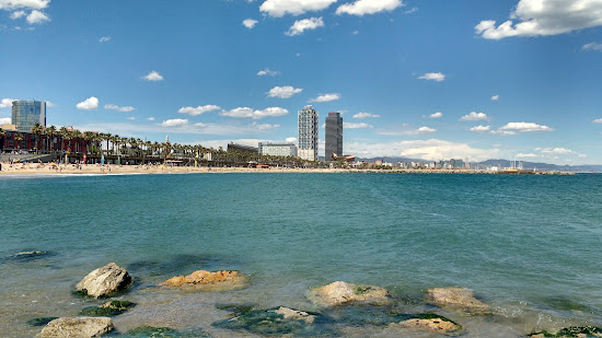 Playa Barceloneta