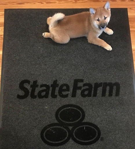 Insurance Agency «Stephen Simmons - State Farm Insurance», reviews and photos