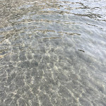 Photo n°5 de l'avis de Daniele.o fait le 19/09/2023 à 08:14 sur le  Lido Ristorante Resegone à Meta